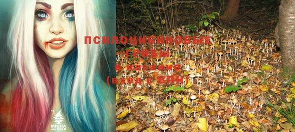 марки nbome Горняк