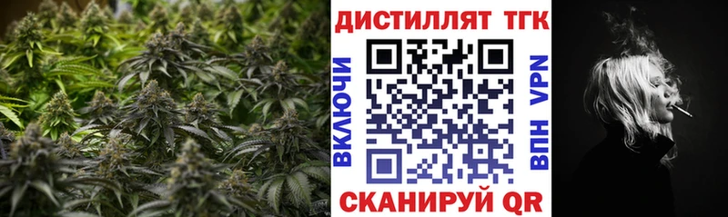 Дистиллят ТГК THC oil  Купить закладки  Туринск 